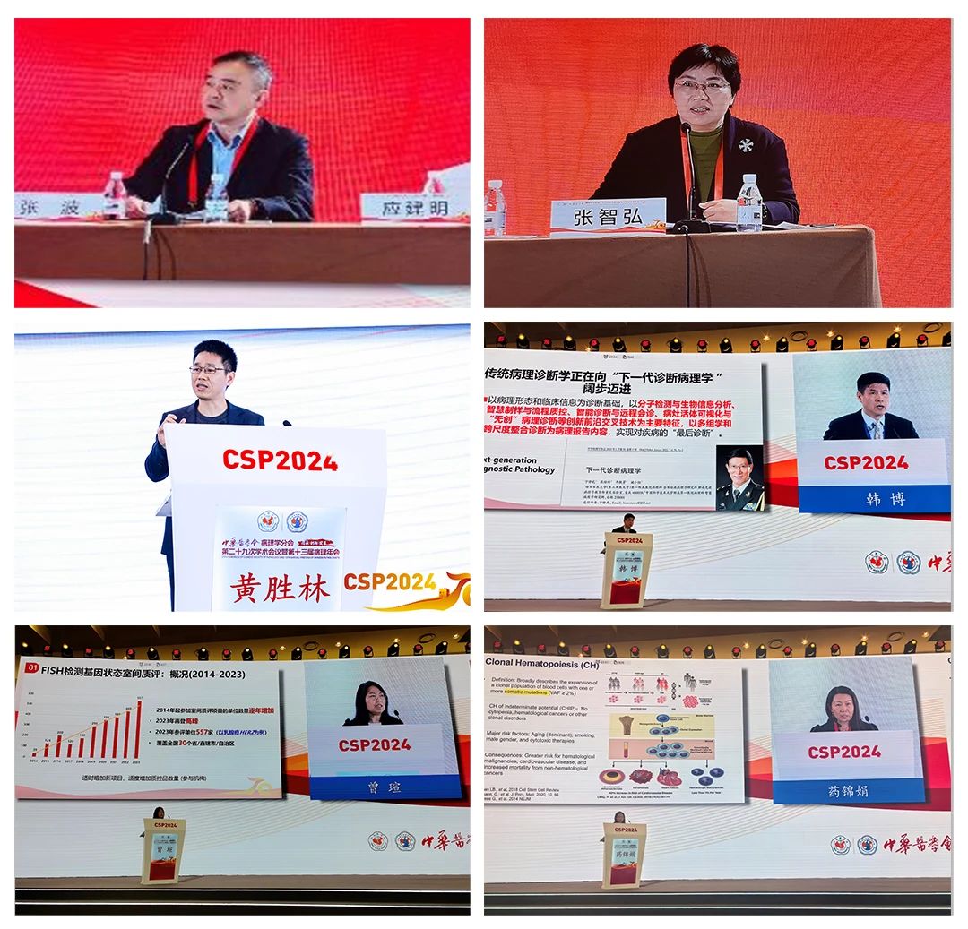 Congratulations on the perfect conclusion of the 13th Chinese Pathology Annual Meeting!